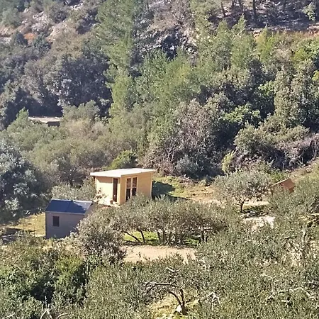 Kamp alanı Robinson Accommodate & Camping Places Maslina