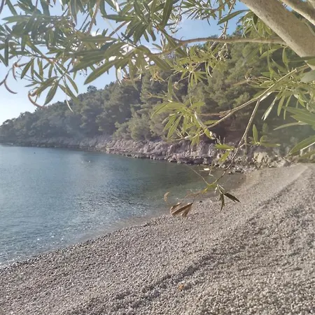 Robinson Accommodate & Camping Places Maslina Kamp alanı Gdinj
