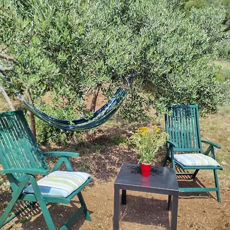 Robinson Accommodate & Camping Places Maslina