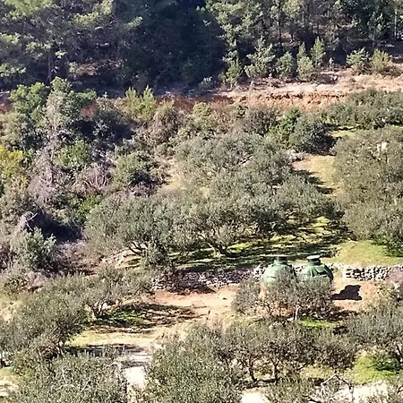 אתר קמפינג Robinson Accommodate & Camping Places Maslina